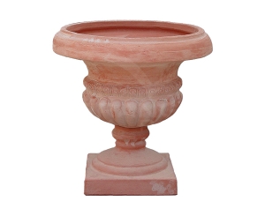 Coppa per Colonna